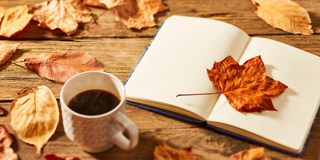 Chute de cheveux en automne : pourquoi elle arrive et que faire